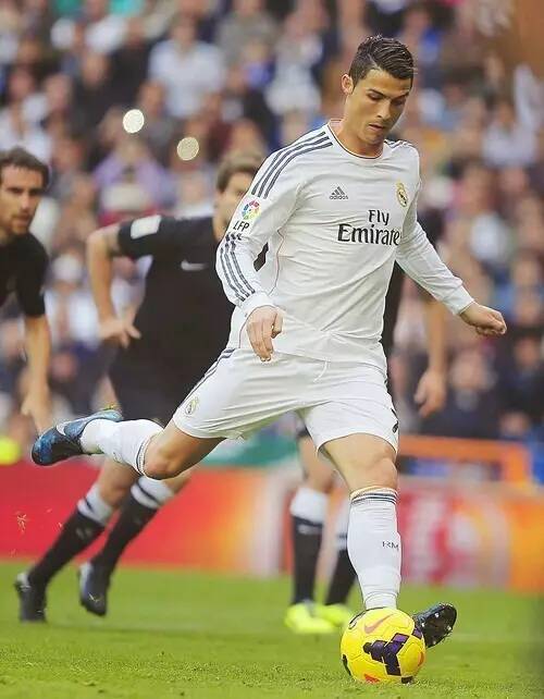 并附带可持 并附带可持